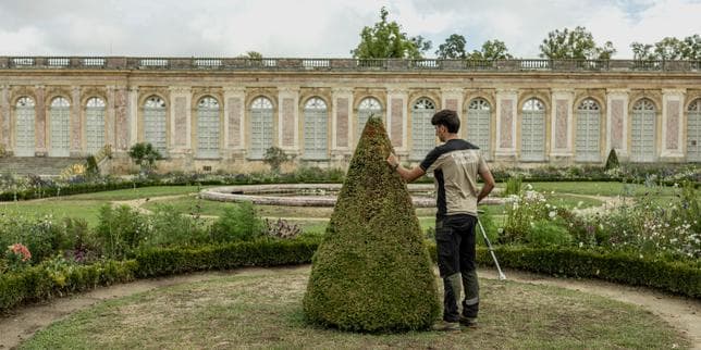 Le modèle des jardins à la française sous la menace du réchauffement climatique