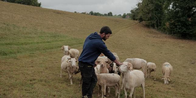 En Haute-Garonne, les éleveurs condamnés à se séparer d’une partie de leur bétail : « Si ma situation empire, j’en suis déjà aux deux tiers de mon espérance de vie d’agriculteur »