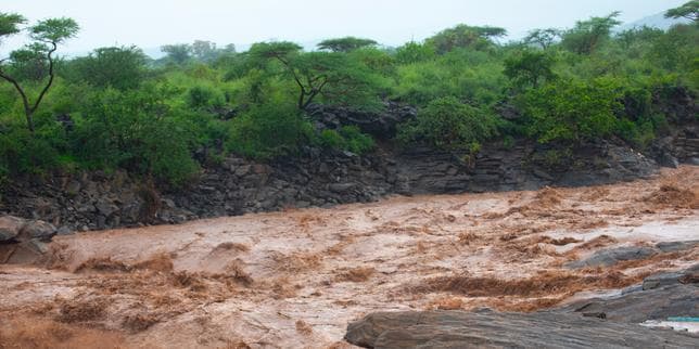 L’Afrique face à un « super El Niño » qui pourrait effacer 20 milliards de dollars de croissance