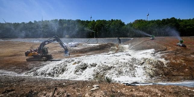 Avec la canicule, les équarrisseurs croulent sous les cadavres de volailles en décomposition dont l’odeur exaspère riverains et pouvoirs publics