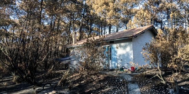 « Les régions les plus sensibles au risque d’incendie sont aussi celles où l’artificialisation des sols a le plus progressé »