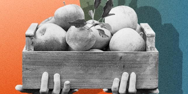 Immobilier : quand le bruit du marchand de fruits et légumes justifie l’annulation de la vente