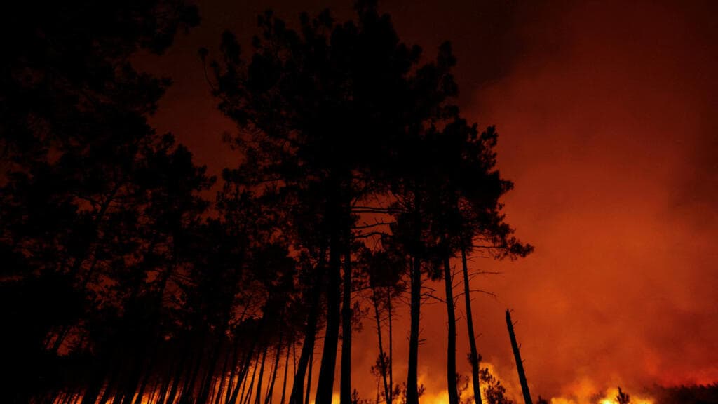 Incendies en Gironde : une cellule de crise économique à Bercy