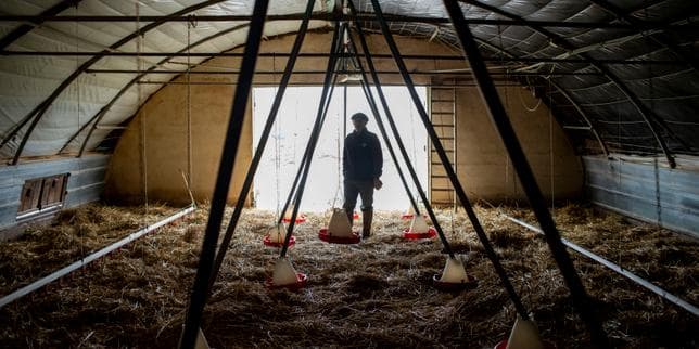 L’inquiétude sur le mal-être des agriculteurs grandit après une année catastrophique : « Les gens sont à bout »