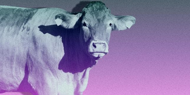 « L’Europe, par la taille de son marché et son influence réglementaire, projette ses normes au-delà de ses frontières »