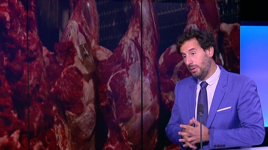 Mercosur : l’Europe ferme ses portes aux viandes brésiliennes