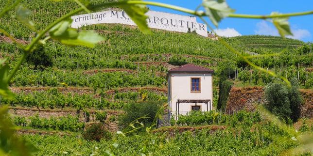 Michel Chapoutier, le vigneron visionnaire qui a bousculé le Rhône