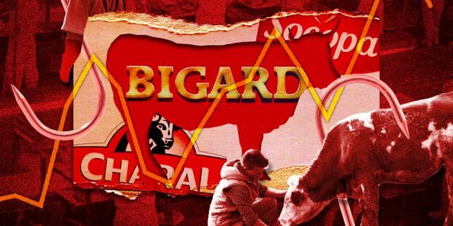 Comment Bigard, qui a avalé Charal et ses concurrents, dicte les règles de l’abattage aux éleveurs bovins