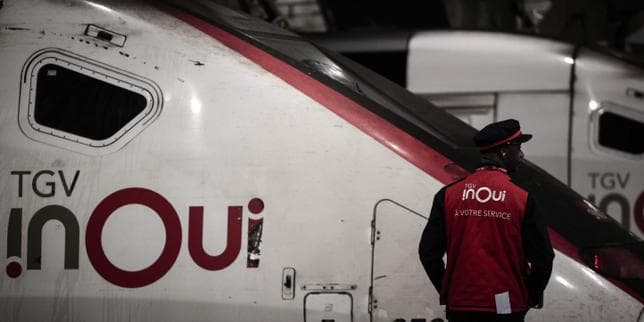 Canicule : la SNCF annule des trains, y compris quelques TGV, en raison des fortes chaleurs