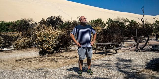Autour de la dune du Pilat, malgré le retour des touristes, les plaies de l’incendie de 2022 ne sont pas toutes refermées
