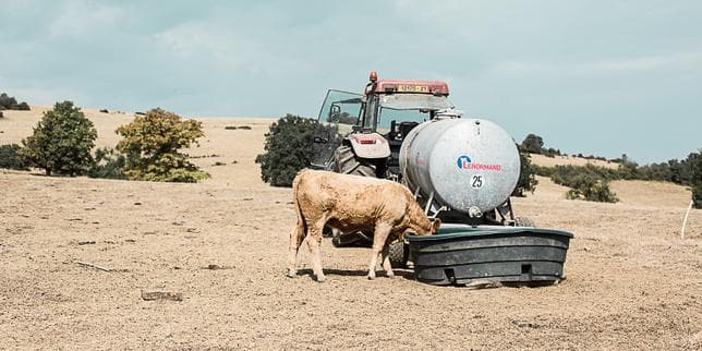 Loi d’urgence agricole : le Conseil constitutionnel valide la quasi-totalité du texte, y compris les volets controversés sur la réintroduction dérogatoire de pesticides interdits
