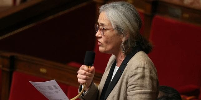 Lutte contre la fraude fiscale : l’Etat accusé de « sous-investissement chronique »